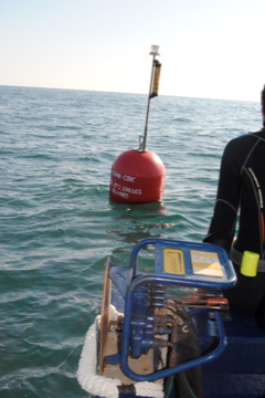 reference buoy